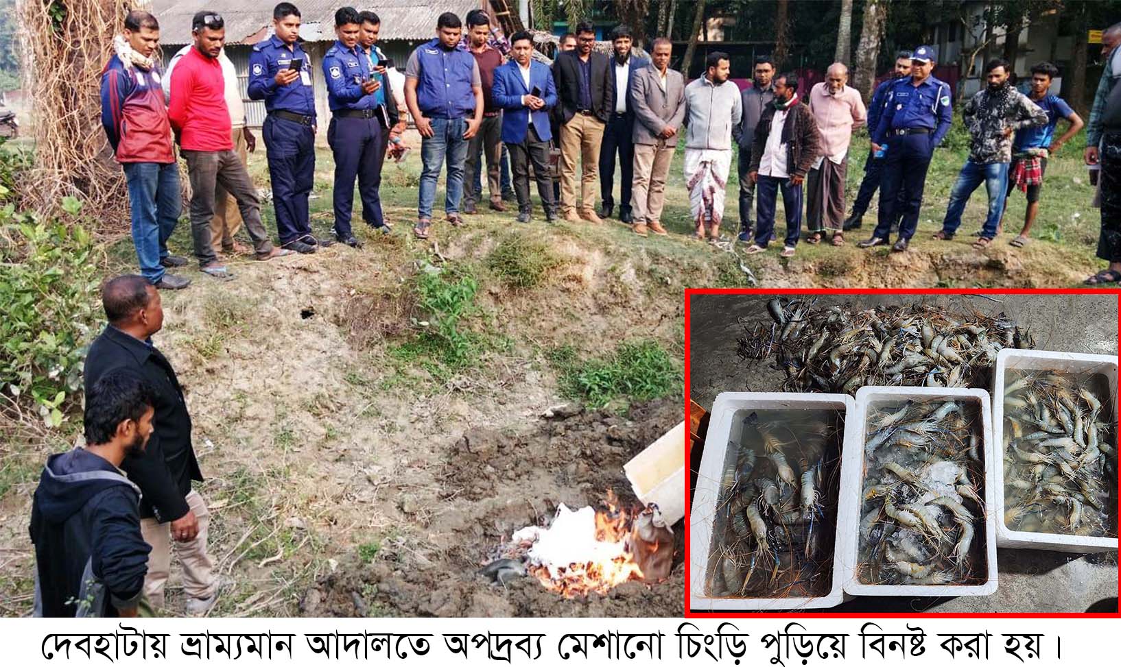 দেবহাটায় চিংড়িতে অপদ্রব্য, ২ ব্যবসায়ীকে দুই লাখ টাকা জরিমানা
