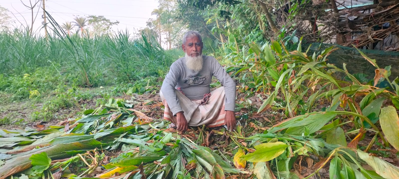 আদালতের নিষেধাজ্ঞা অমান্য, থানায় অভিযোগ, খেতের শসা ও কাঁচা হলুদের সঙ্গে শত্রুতা!