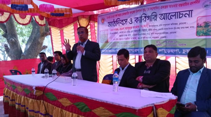 দামুড়হুদায় মাঠদিবস অনুষ্ঠিত